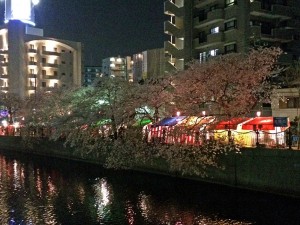 大岡川桜祭り